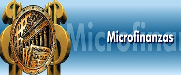 Curso Virtual de Microfinanzas