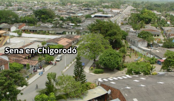 Sena en Chigorodo