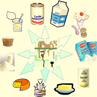 Producción de derivados lácteos en el Sena